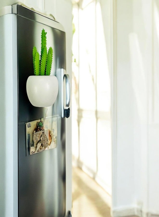 KRIWIN Magnetic Cactus Planter, 11 cm x 6.5 cm White Pot, Decorative Fridge Magnet with Artificial Succulent - Image 1